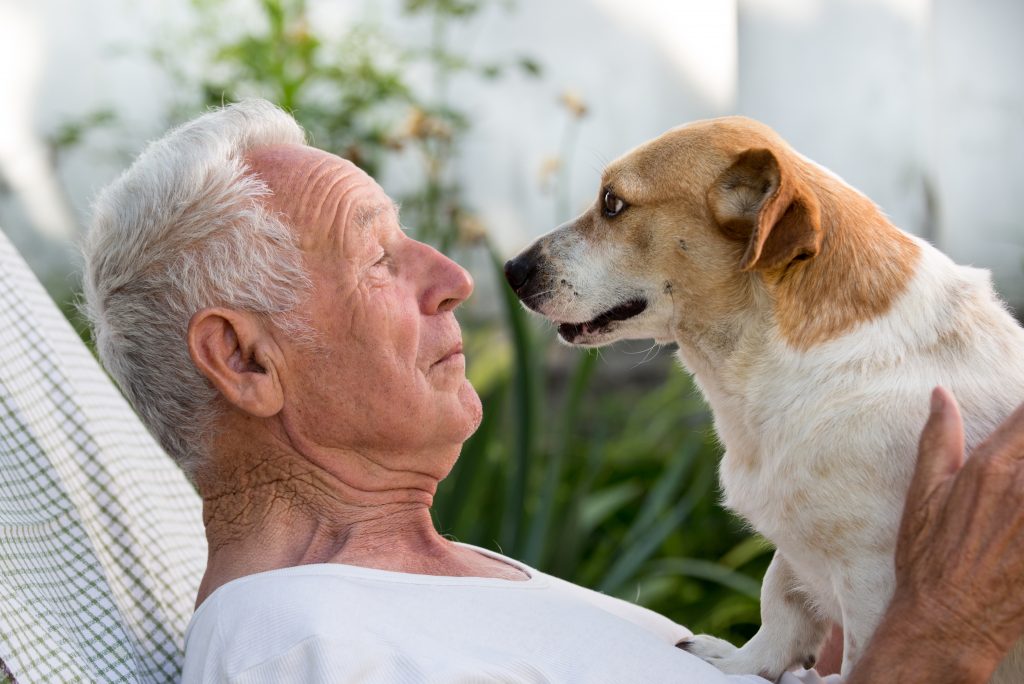 Older adult caucasian man sitting face-to-face while holding his dog. Falls in the elderly risk factors and prevention